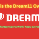 Who is the Dream11 Owner? How this Fantasy Sports Work? Know everything here