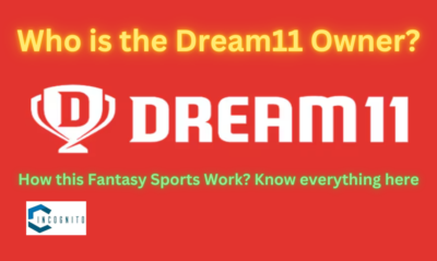 Who is the Dream11 Owner? How this Fantasy Sports Work? Know everything here