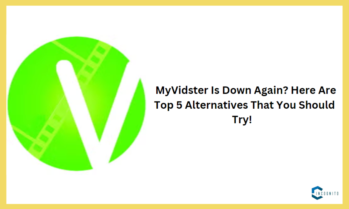 MyVidster Is Down Again? Here Are Top 5 Alternatives That You Should Try!