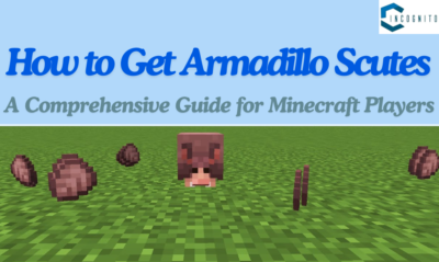 How to Get Armadillo Scutes