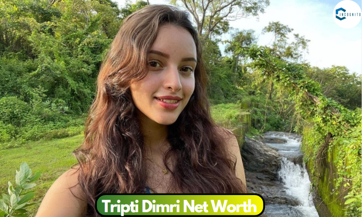 Tripti Dimri Net Worth ‘24: How Much Wealth Does This Animal Actress Have?