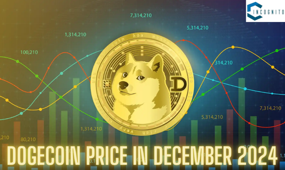 Dogecoin Price in December 2024