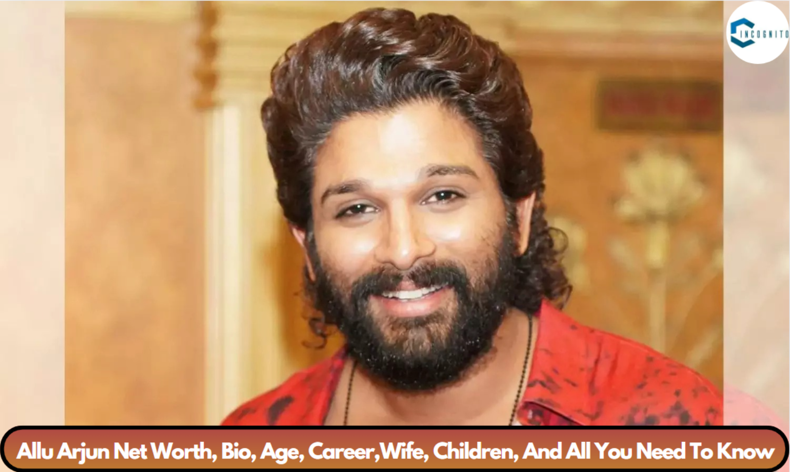 Allu Arjun Net Worth, Bio, Age, Career,Wife, Children, And All You Need To Know