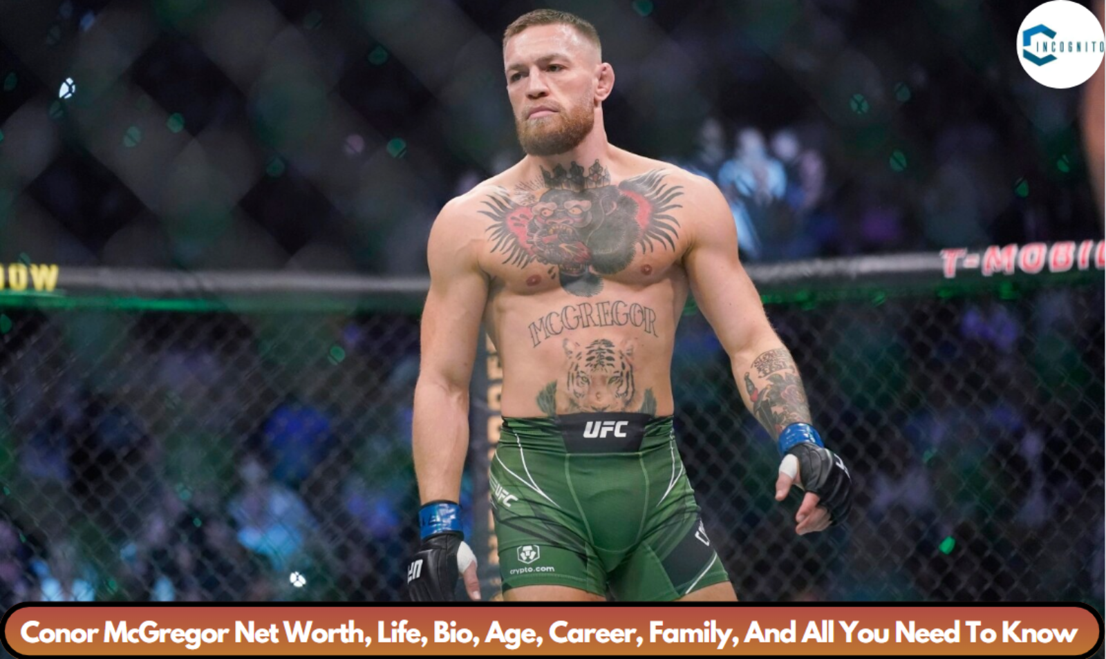 Conor McGregor Net Worth, Life, Bio, Age, Career, Family, And All You Need To Know