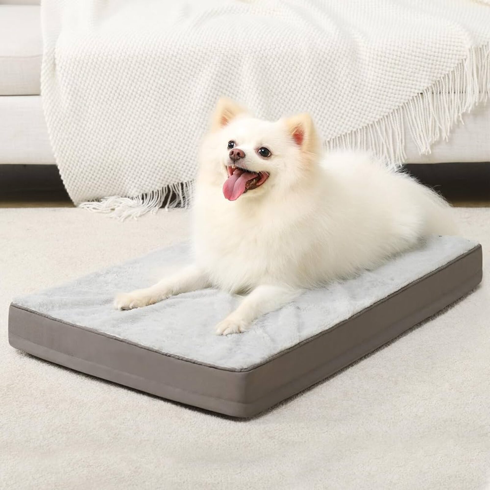 Cool Beds for Large Dogs: Comfort and Style for Your Canine Companion