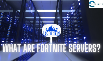 What are Fortnite Servers? Are Fortnite Servers down? How to Check Server Status? A comprehensive detail