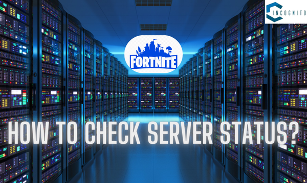 How to Check Server Status?