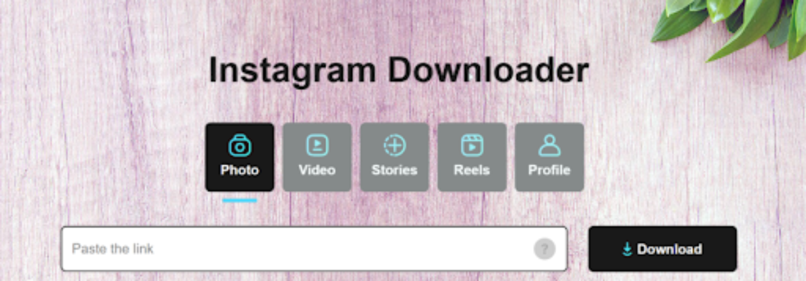 The Best Instagram Photo Downloader Tool and its Benefits