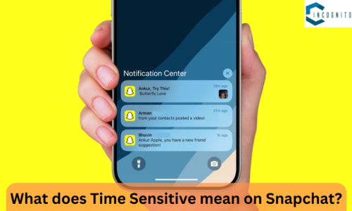 What does Time Sensitive mean on Snapchat? With this Feature, You don’t miss out on Important Notifications