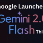 Google Launched Gemini 2.0 Flash Thinking: AI’s New Standard for Complex Problem Solving