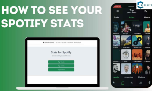 How To See Your Stats On Spotify? Know Everything To See The Data Of Music And Artists!