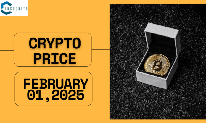 Crypto Price on February 01, 2025: Know the Top Gainers and Losers