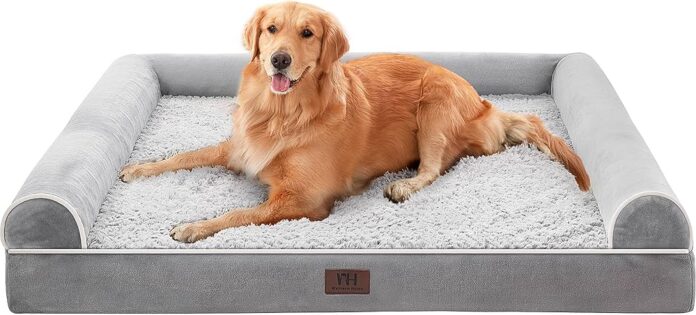 Cool Beds for Large Dogs: Comfort and Style for Your Canine Companion