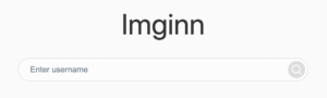 Imginn: How to View Instagram Anonymously in 2025