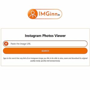Imginn: How to View Instagram Anonymously in 2025