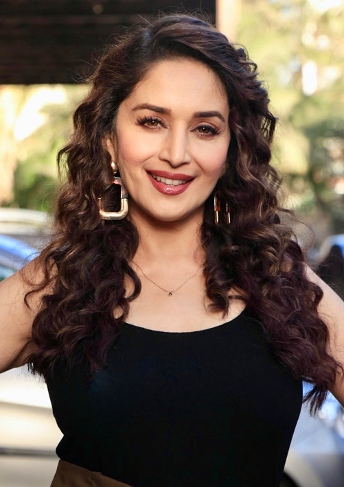 Madhuri Dixit Movies List